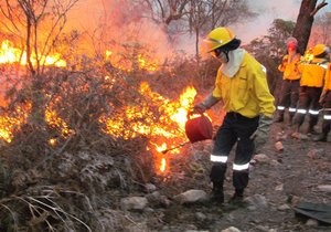 DAFF goedkeuring vir een groot Brandbeskermingsvereniging vir die Overberg